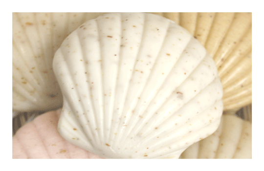 Sculpted Sea Shell Soaps